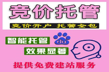 SEM托管服务助力企业营销案例